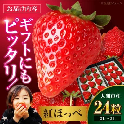 【先行受付】【1月上旬から順次発送】食べる宝石 紅ほっぺ 24粒 1箱[AGAR001]
