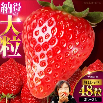 【先行受付】【1月上旬から順次発送】食べる宝石 紅ほっぺ 24粒×2箱[AGAR002]