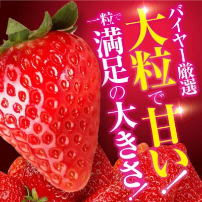 【先行受付】【1月上旬から順次発送】食べる宝石 紅ほっぺ 24粒×2箱[AGAR002]