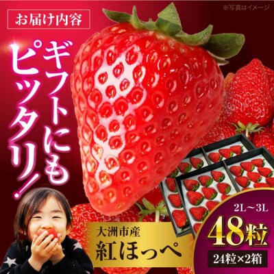 【先行受付】【1月上旬から順次発送】食べる宝石 紅ほっぺ 24粒×2箱[AGAR002]