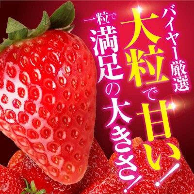 【先行受付】【1月上旬から順次発送】食べる宝石 紅ほっぺ 24粒×3箱[AGAR003]