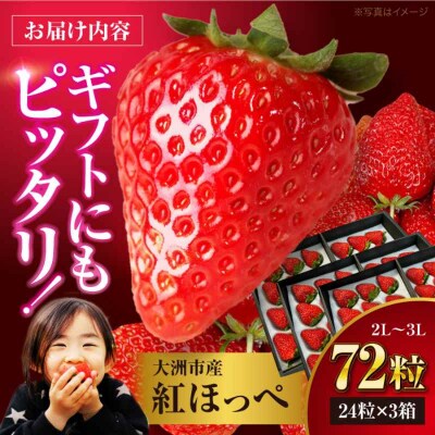 【先行受付】【1月上旬から順次発送】食べる宝石 紅ほっぺ 24粒×3箱[AGAR003]