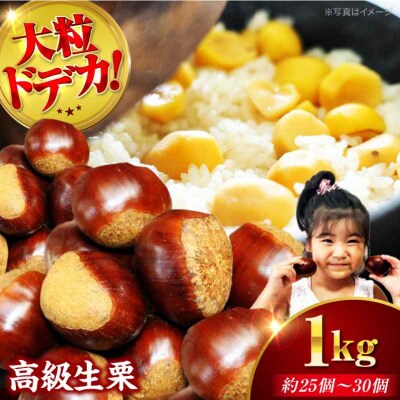 【先行受付】【9月下旬から配送開始】ドデカ生栗 1kg(約25個-30個)[AGAR004]