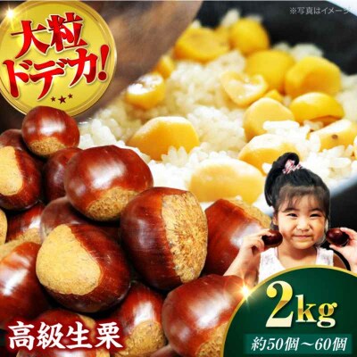 【先行受付】【9月下旬から配送開始】ドデカ生栗 2kg(約50個-60個)[AGAR005]