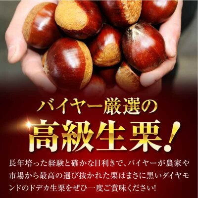 【先行受付】【9月下旬から配送開始】ドデカ生栗 2kg(約50個-60個)[AGAR005]