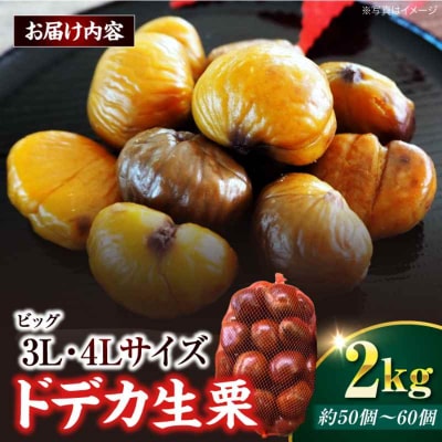 【先行受付】【9月下旬から配送開始】ドデカ生栗 2kg(約50個-60個)[AGAR005]