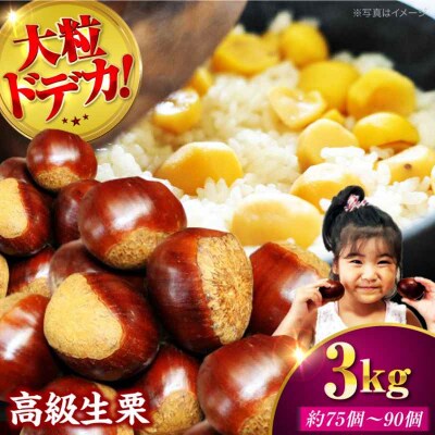 【先行受付】【9月下旬から配送開始】ドデカ生栗 3kg(約75個-90個)[AGAR006]