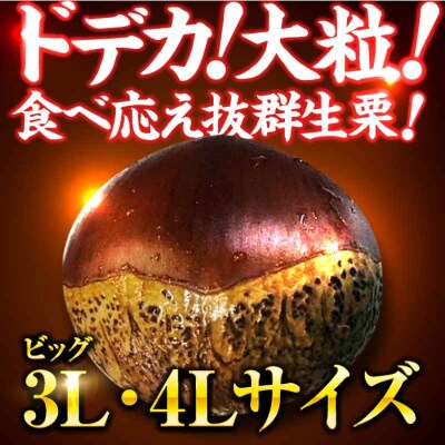 【先行受付】【9月下旬から配送開始】ドデカ生栗 3kg(約75個-90個)[AGAR006]