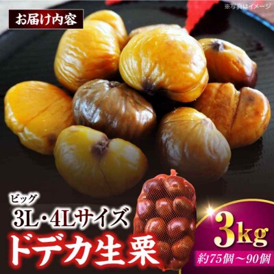 【先行受付】【9月下旬から配送開始】ドデカ生栗 3kg(約75個-90個)[AGAR006]