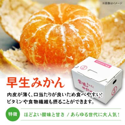 【先行受付】【11月下旬から順次発送】【贈答用】早生みかん 3kg [AGAR007]