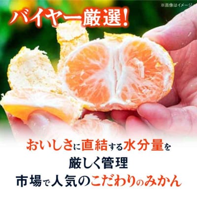 【先行受付】【11月下旬から順次発送】【贈答用】早生みかん 3kg [AGAR007]