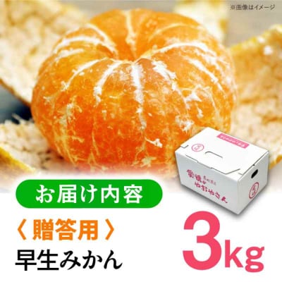 【先行受付】【11月下旬から順次発送】【贈答用】早生みかん 3kg [AGAR007]