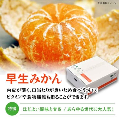 【先行受付】【11月下旬から順次発送】【贈答用】早生みかん 5kg [AGAR008]