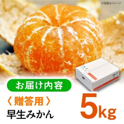 【先行受付】【11月下旬から順次発送】【贈答用】早生みかん 5kg [AGAR008]