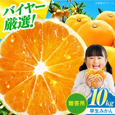 【先行受付】【11月下旬から順次発送】【贈答用】早生みかん 10kg [AGAR009]