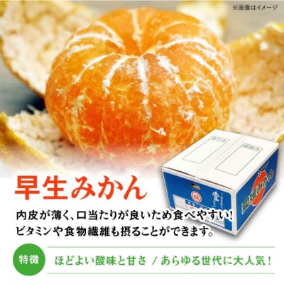 【先行受付】【11月下旬から順次発送】【贈答用】早生みかん 10kg [AGAR009]