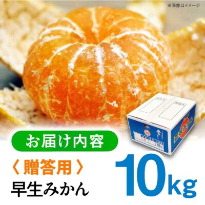 【先行受付】【11月下旬から順次発送】【贈答用】早生みかん 10kg [AGAR009]