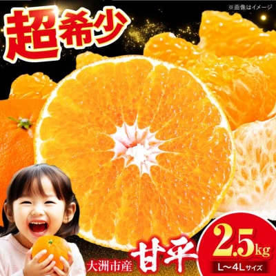 【先行受付】【1月下旬より順次発送】 甘平 2.5kg Lから4Lサイズ混合 [AGAR010]