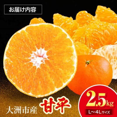 【先行受付】【1月下旬より順次発送】 甘平 2.5kg Lから4Lサイズ混合 [AGAR010]