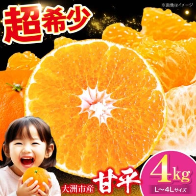 【先行受付】【1月下旬より順次発送】 甘平 4kg Lから4Lサイズ混合 [AGAR011]
