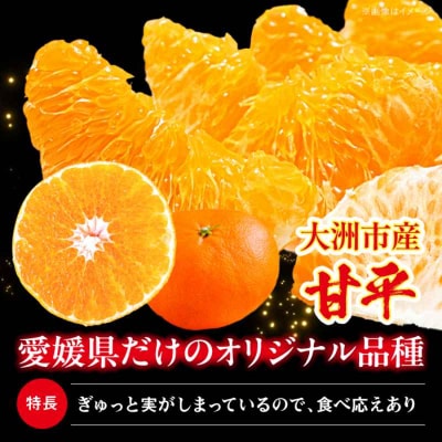 【先行受付】【1月下旬より順次発送】 甘平 4kg Lから4Lサイズ混合 [AGAR011]