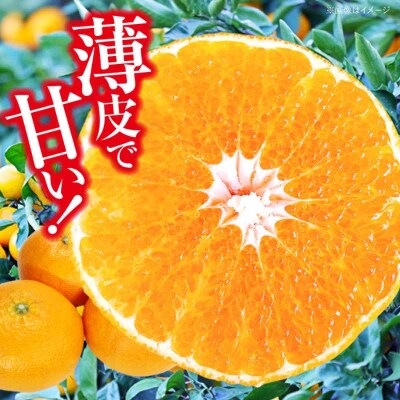 【先行受付】【1月下旬より順次発送】 甘平 4kg Lから4Lサイズ混合 [AGAR011]