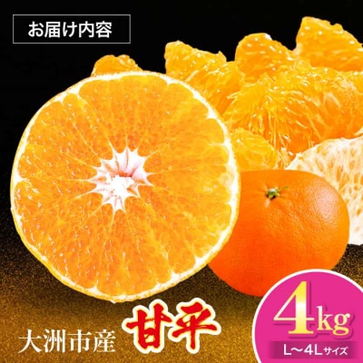 【先行受付】【1月下旬より順次発送】 甘平 4kg Lから4Lサイズ混合 [AGAR011]