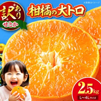 【先行受付】【2月下旬より順次発送】訳ありせとか 2.5kg Lから4L混合 [AGAR012]