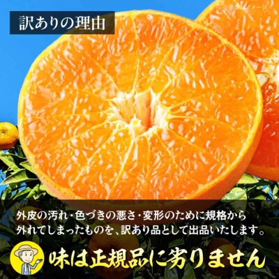 【先行受付】【2月下旬より順次発送】訳ありせとか 2.5kg Lから4L混合 [AGAR012]