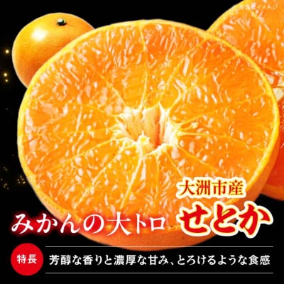 【先行受付】【2月下旬より順次発送】訳ありせとか 2.5kg Lから4L混合 [AGAR012]
