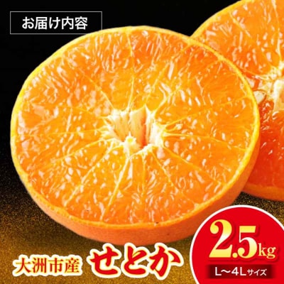 【先行受付】【2月下旬より順次発送】訳ありせとか 2.5kg Lから4L混合 [AGAR012]