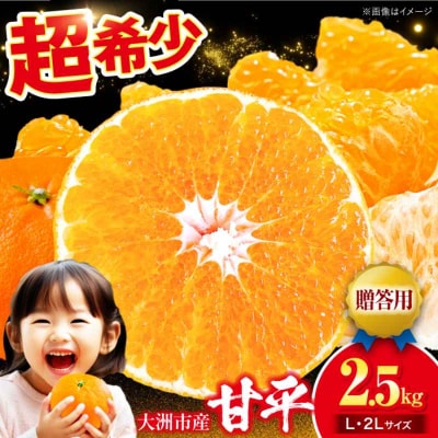 【贈答用】【先行受付】【1月下旬より順次発送】甘平 2.5kg L・2Lサイズ [AGAR014]