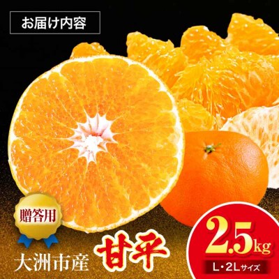 【贈答用】【先行受付】【1月下旬より順次発送】甘平 2.5kg L・2Lサイズ [AGAR014]