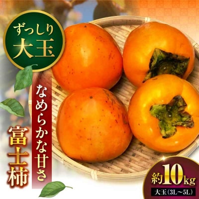 【先行受付】【11月下旬から順次発送】富士柿 10kg [AGAR016]