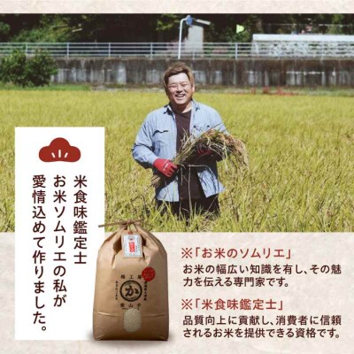 米食味鑑定士×お米ソムリエ!あきたこまち6kg(3kg×2袋)[AGAV002]