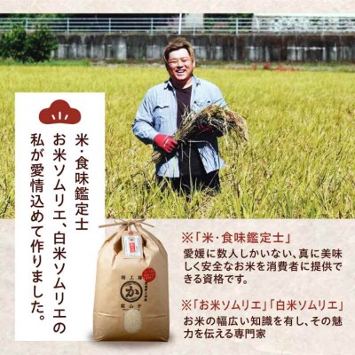 米食味鑑定士×お米ソムリエ!お米 にこまる 30kg(10kg×3袋)[AGAV008]