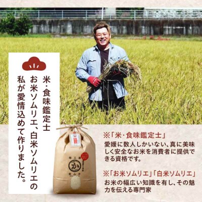 米食味鑑定士×お米ソムリエ!ヒノヒカリ 15kg(5kg×3袋)[AGAV012]
