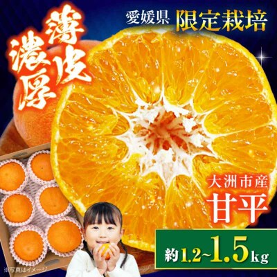 【先行受付】【2月上旬から順次発送】甘平 5-6個(1.2kg-1.5kg) [AGBA005]