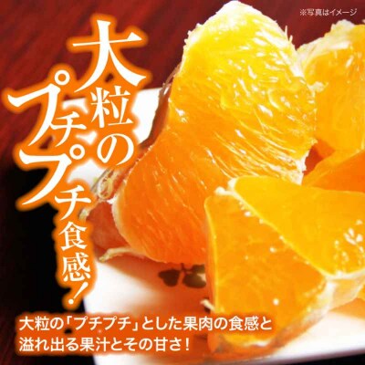 【先行受付】【2月上旬から順次発送】甘平 5-6個(1.2kg-1.5kg) [AGBA005]