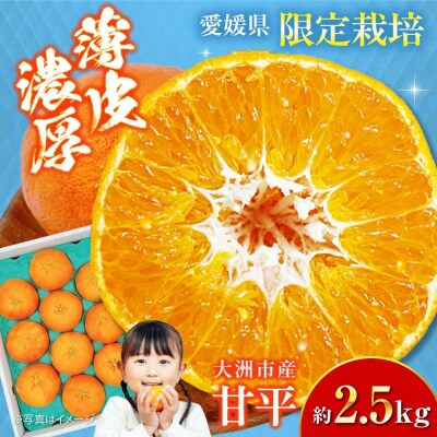 【先行受付】【2月上旬から順次発送】甘平 3L-5L 約2.5kg 7-10個 [AGBA006]