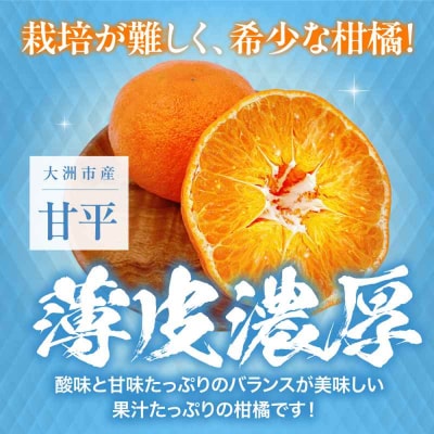 【先行受付】【2月上旬から順次発送】甘平 3L-5L 約2.5kg 7-10個 [AGBA006]