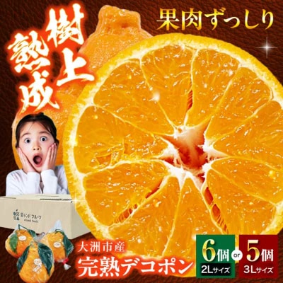 【先行受付】【3月下旬から順次発送】樹の上で熟成!完熟デコポン 5-6個 [AGBA008]