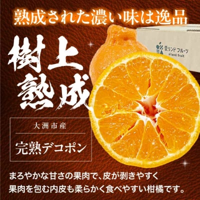【先行受付】【3月下旬から順次発送】樹の上で熟成!完熟デコポン 5-6個 [AGBA008]
