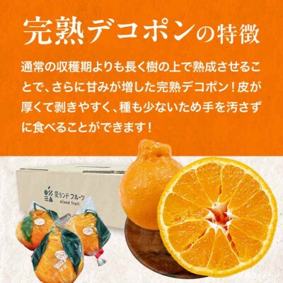 【先行受付】【3月下旬から順次発送】樹の上で熟成!完熟デコポン 5-6個 [AGBA008]