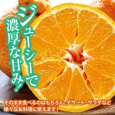 【先行受付】【3月下旬から順次発送】樹の上で熟成!完熟デコポン 5-6個 [AGBA008]