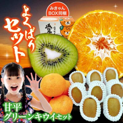 【先行受付】【2月上旬から順次発送】旬の果物セット!甘平とグリーンキウイ [AGBA011]
