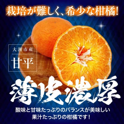 【先行受付】【2月上旬から順次発送】旬の果物セット!甘平とグリーンキウイ [AGBA011]