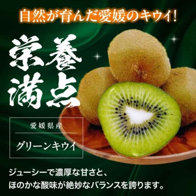 【先行受付】【2月上旬から順次発送】旬の果物セット!甘平とグリーンキウイ [AGBA011]