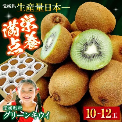 【先行受付】【1月下旬から順次発送】グリーンキウイ 10玉-12玉入 [AGBA016]