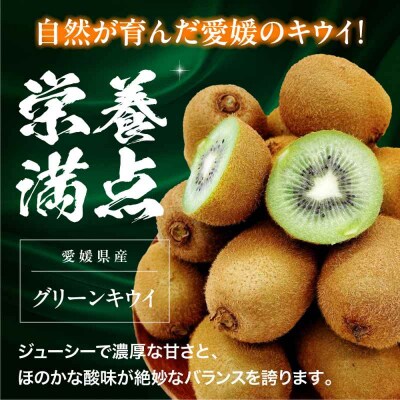 【先行受付】【1月下旬から順次発送】グリーンキウイ 10玉-12玉入 [AGBA016]